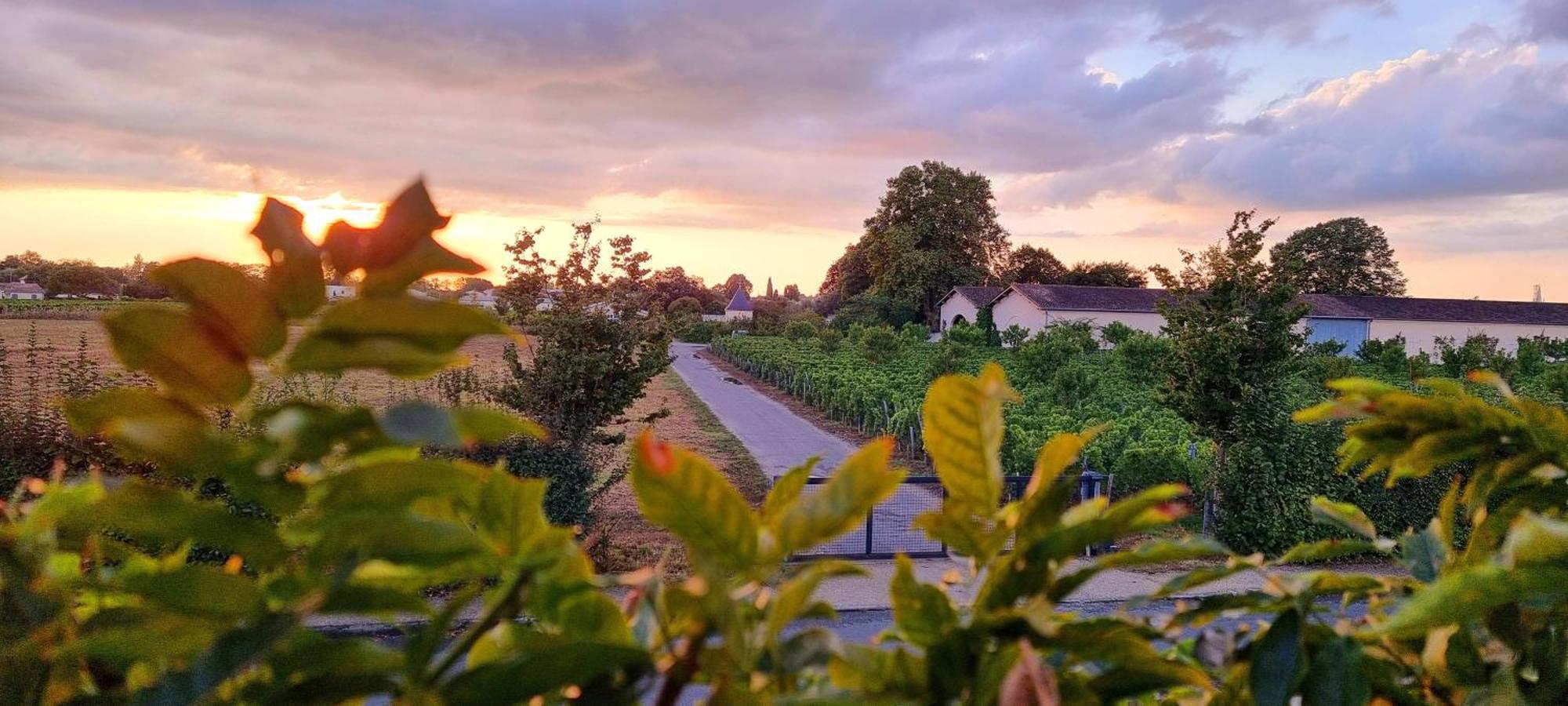 Appartement Quinault Libourne Kültér fotó